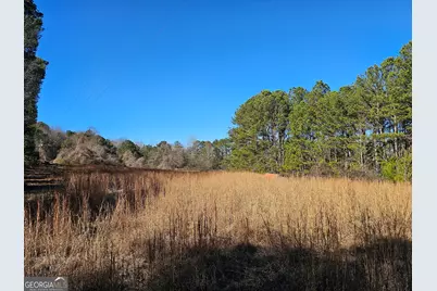 0 Daniel Road, Villa Rica, GA 30180 - Photo 4