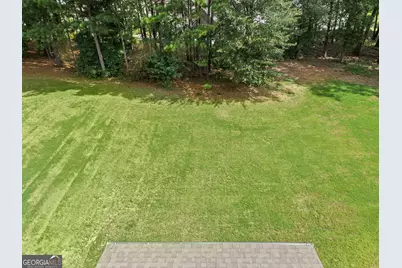 150 Duck Drive, Senoia, GA 30276 - Photo 46