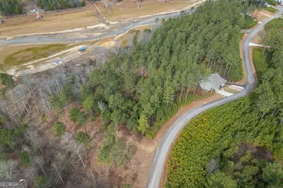 Lot 205 The Cove @ 1300, Blairsville, GA 30512 - Photo 8