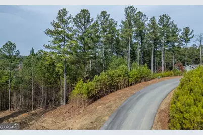 Lot 205 The Cove @ 1300, Blairsville, GA 30512 - Photo 52