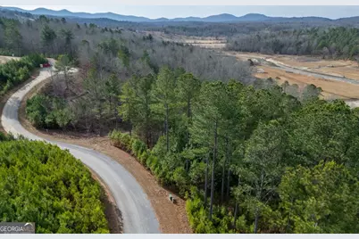 Lot 205 The Cove @ 1300, Blairsville, GA 30512 - Photo 10