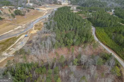 Lot 205 The Cove @ 1300, Blairsville, GA 30512 - Photo 10