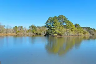 101 Willow Ridge Cir, Thomasville, GA 31757 - Photo 86