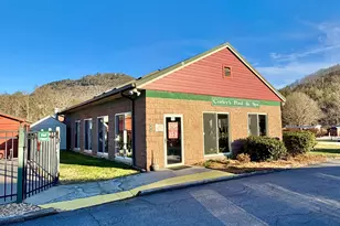 462 River Vista Dr, Dillard, GA 30537 - Photo 18