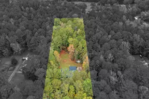 12012 Turner Rd, Hampton, GA 30228 - Photo 38