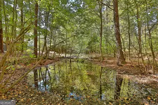 120 Meadow View Glen, Newnan, GA 30265 - Photo 28