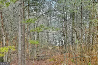 120 Meadow View Glen, Newnan, GA 30265 - Photo 48