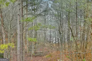 120 Meadow View Glen, Newnan, GA 30265 - Photo 48