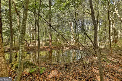 120 Meadow View Glen, Newnan, GA 30265 - Photo 82