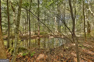 120 Meadow View Glen, Newnan, GA 30265 - Photo 82