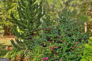 120 Meadow View Glen, Newnan, GA 30265 - Photo 70