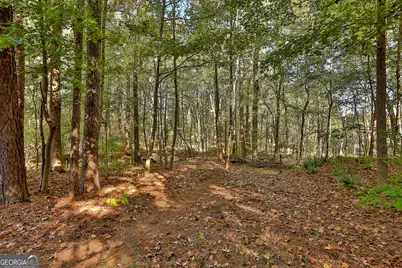 120 Meadow View Glen, Newnan, GA 30265 - Photo 80