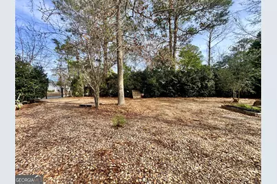 22 Oak Street, Hawkinsville, GA 31036 - Photo 36