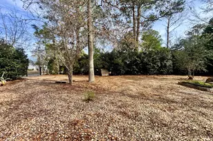 22 Oak St, Hawkinsville, GA 31036 - Photo 36