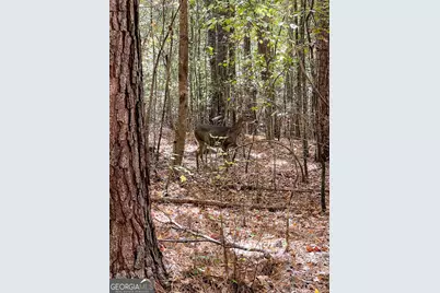 1730 Campbell Road, Covington, GA 30014 - Photo 12