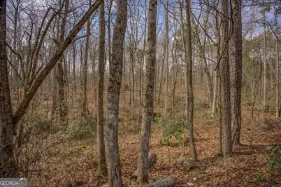 2816 Klondike Road SW, Conyers, GA 30094 - Photo 52