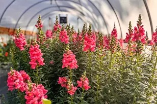 1580 Farmington Rd, Madison, GA 30650 - Photo 40