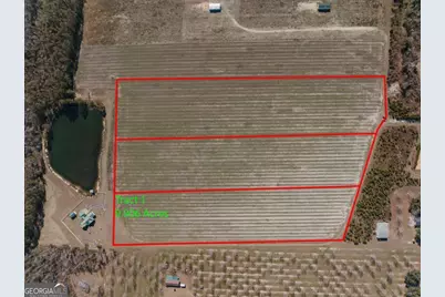 0 Tract 3 Lake Mayers Road, Baxley, GA 31513 - Photo 1
