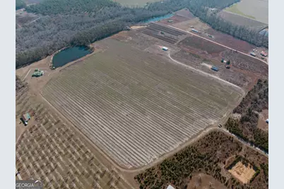 0 Tract 3 Lake Mayers Road, Baxley, GA 31513 - Photo 2