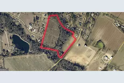 16.59Ac Rosemont Road, Glennville, GA 30427 - Photo 10