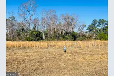 16.59Ac Rosemont Road, Glennville, GA 30427 - Photo 4