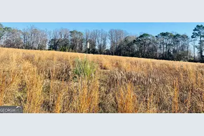 16.59Ac Rosemont Road, Glennville, GA 30427 - Photo 6