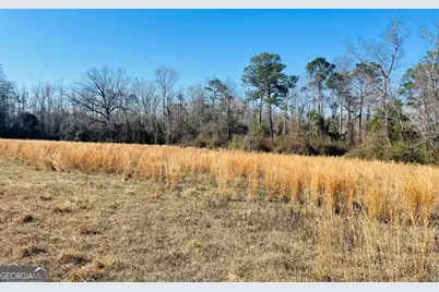 16.59Ac Rosemont Road, Glennville, GA 30427 - Photo 2