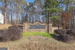 340 Spring Forest Way, Sharpsburg, GA 30277 - Photo 52