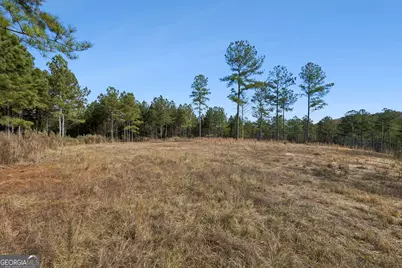 0 Sand Pit Road, Summerville, GA 30747 - Photo 10