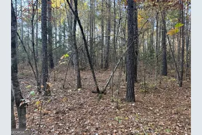 0 Brown Creek Road, Shiloh, GA 31826 - Photo 1