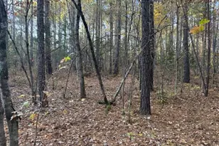 0 Brown Creek Rd, Shiloh, GA 31826 - Photo 1