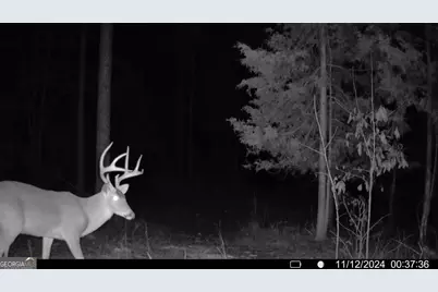 0 Martin Mill Road, Eatonton, GA 31024 - Photo 18