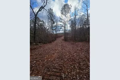 0 Martin Mill Road, Eatonton, GA 31024 - Photo 10