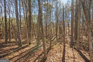 149 Muscadine Way, Carrollton, GA 30116 - Photo 58