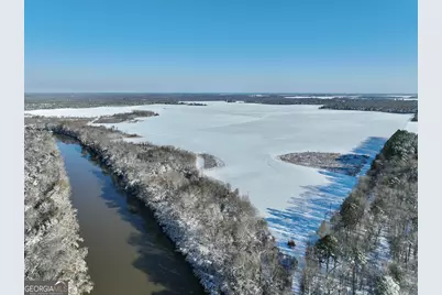 89 Griffin Road, Hawkinsville, GA 31036 - Photo 16