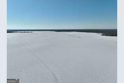 89 Griffin Road, Hawkinsville, GA 31036 - Photo 26