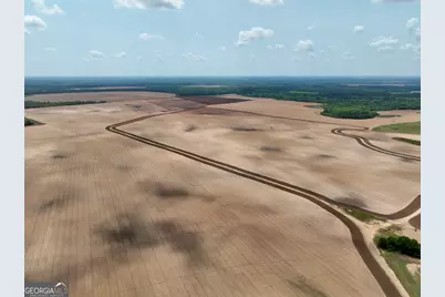 89 Griffin Road, Hawkinsville, GA 31036 - Photo 6