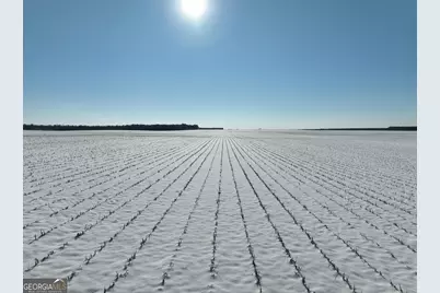 89 Griffin Road, Hawkinsville, GA 31036 - Photo 22