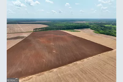 89 Griffin Road, Hawkinsville, GA 31036 - Photo 40