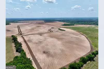 89 Griffin Road, Hawkinsville, GA 31036 - Photo 32