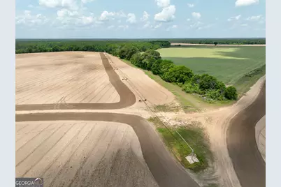 89 Griffin Road, Hawkinsville, GA 31036 - Photo 46