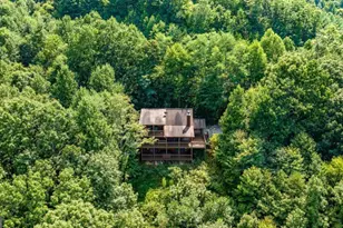 469 Mountain High Dr, Mineral Bluff, GA 30559 - Photo 50