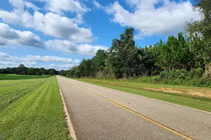 3176 E Centerpoint Rd, Preston, GA 31824 - Photo 24