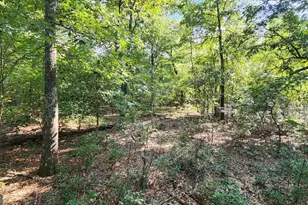 3176 E Centerpoint Rd, Preston, GA 31824 - Photo 22