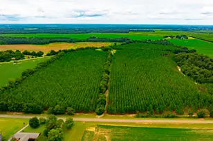 3176 E Centerpoint Rd, Preston, GA 31824 - Photo 6