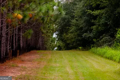 3176 E Centerpoint Road, Preston, GA 31824 - Photo 42