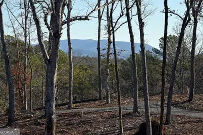 170 Oak Wood Lane, Ellijay, GA 30540 - Photo 2