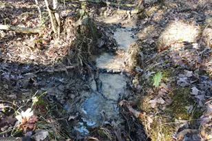 170 Oak Wood Ln, Ellijay, GA 30540 - Photo 62