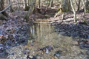 170 Oak Wood Ln, Ellijay, GA 30540 - Photo 38