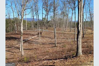 170 Oak Wood Lane, Ellijay, GA 30540 - Photo 52